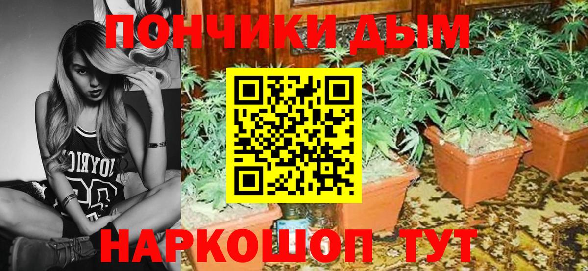 Шишки марихуана ГИДРОПОН Артёмовский